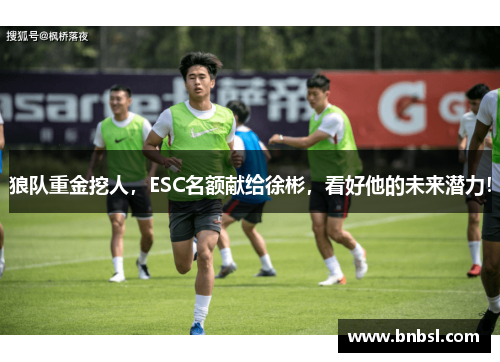 狼队重金挖人，ESC名额献给徐彬，看好他的未来潜力！
